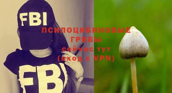 mdpv Ельня