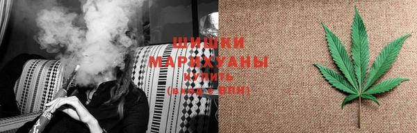 mdpv Ельня