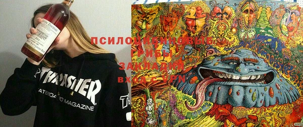 mdpv Ельня