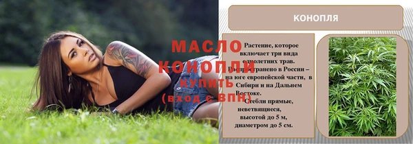 прущие крисы Елабуга