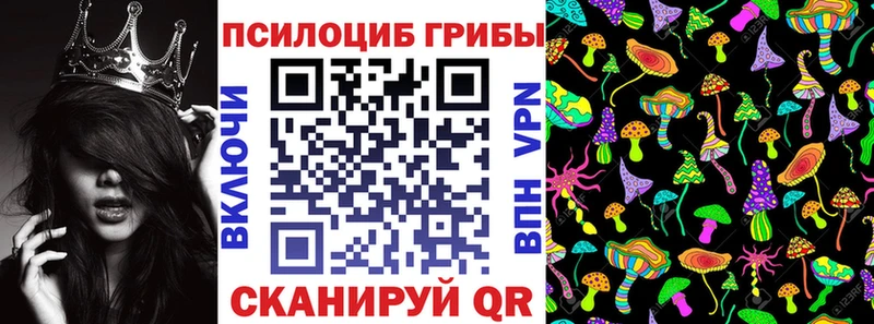 Галлюциногенные грибы мицелий  как найти наркотики  Октябрьский 